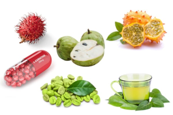 componentes e ingredientes de idealica
