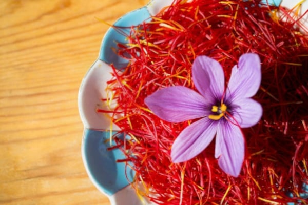 ingredientes de bioxyn