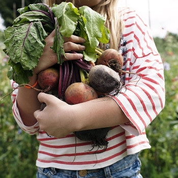 Dieta Equilibrada para niños