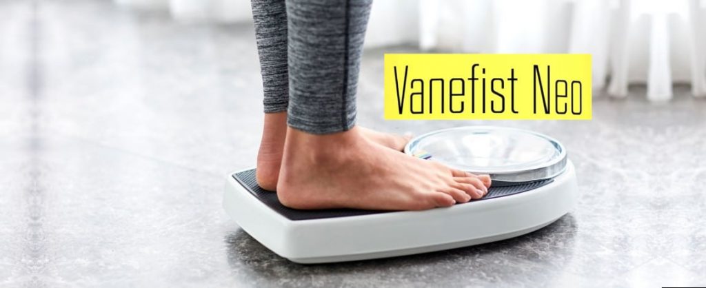 Vanefist Neo Opiniones