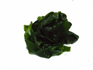 Alga Wakame